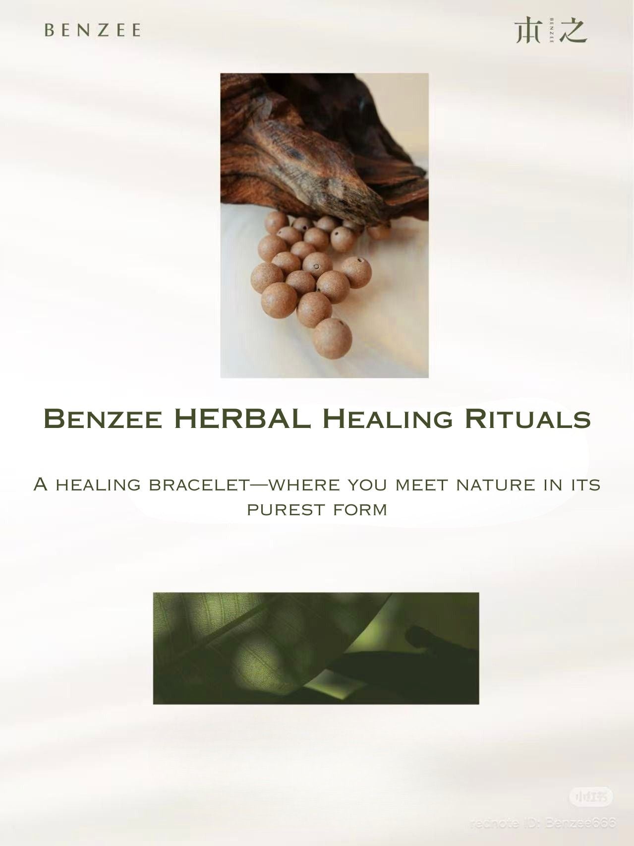 Benzee Herbal Healing Rituals