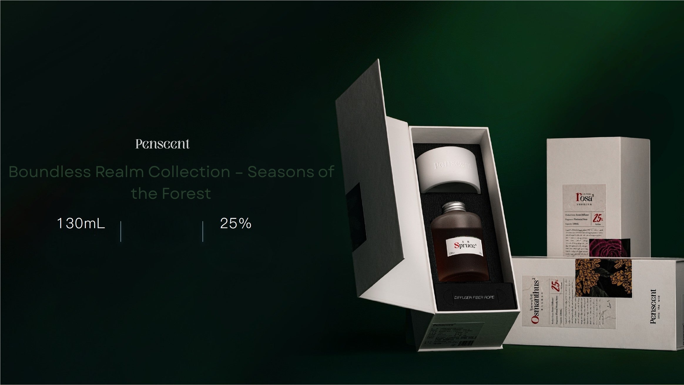 Boundless Realm Collection – Seasons of the Forest