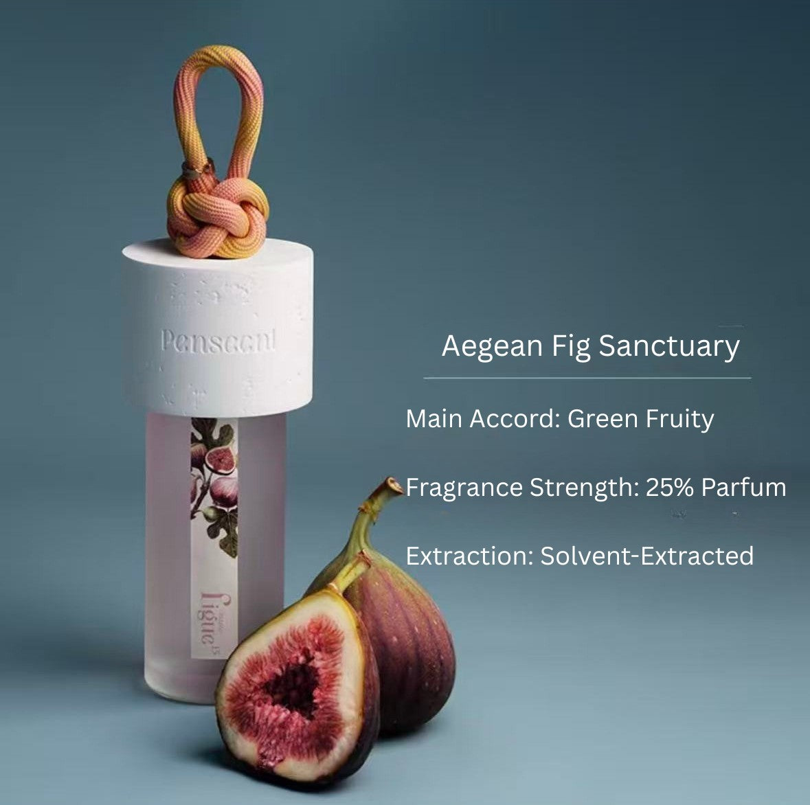 Isle of Hidden Tides