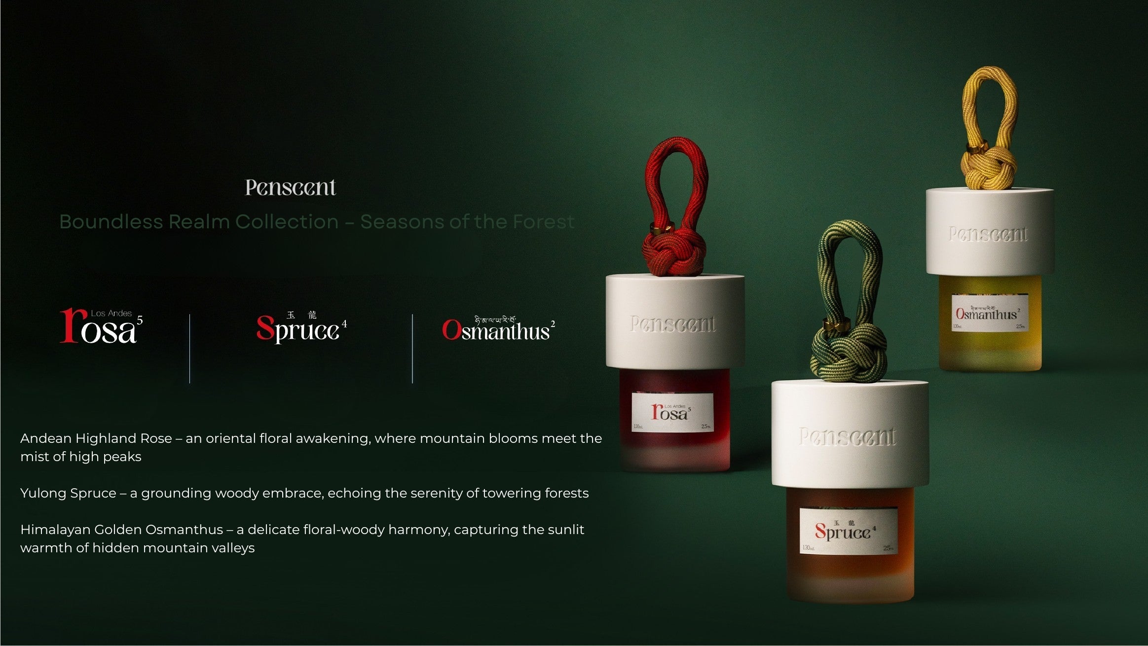 Boundless Realm Collection – Seasons of the Forest