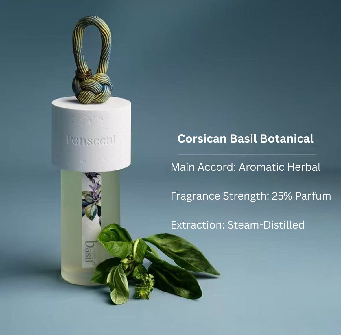 Isle of Hidden Tides