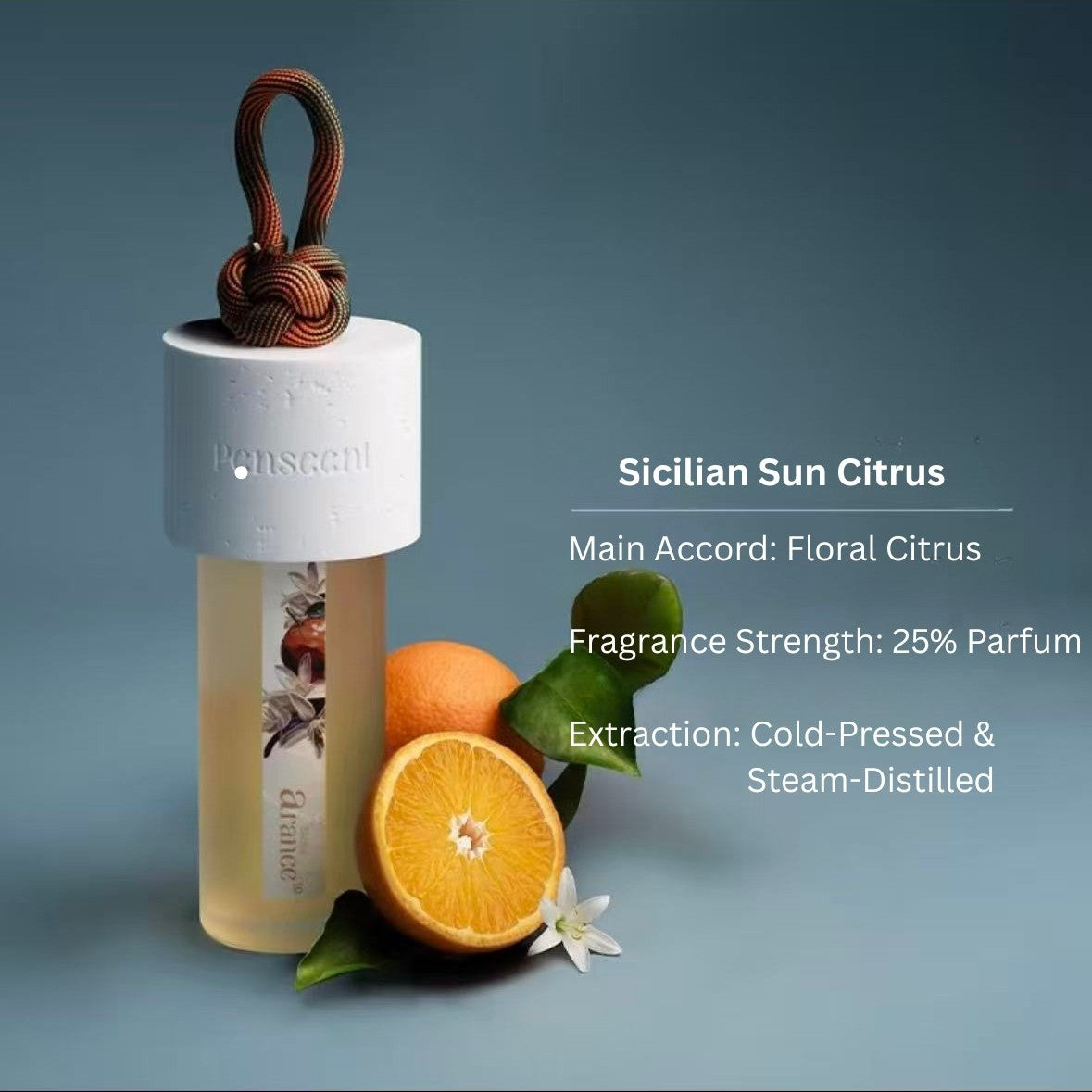 Isle of Hidden Tides