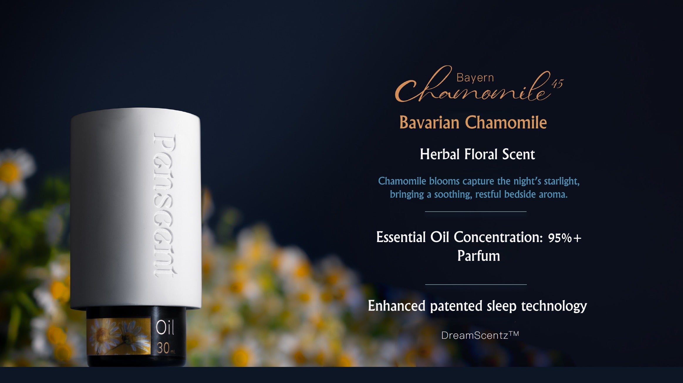 Sleeping Sanctuary Collection (30 ml)