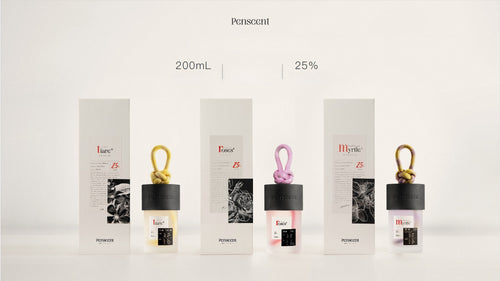 Boundless Realm Collection – Seasons of Nature